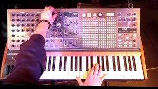 Arturia presents MatrixBrute Analog AvantGarde [upl. by Ayamahs]