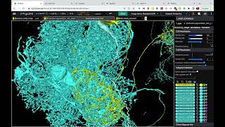 FlyWire for Interactive Neuroscience Visualizations [upl. by Sekofski527]