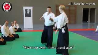 Michel Erb Seminar Aikido Rosheim oct 2014 [upl. by Laurie694]