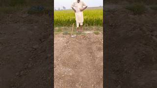 agri agriculture agrinature agriculturefarming villagelife agrifarming farming agricu fyp [upl. by Oicatsana441]