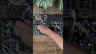 Can the Dual Harmonic Oscillator ambient drone [upl. by Sollie]