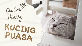 Kucing Belajar Puasa  Cia Cat Diary  Ep 3 ENG SUB [upl. by Hummel433]