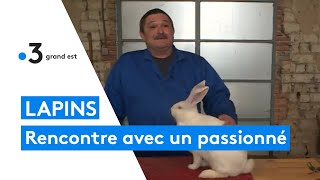 Hervé Milliat  passionné et éleveur de lapins géants à Étréchy [upl. by Nitnilc]