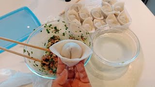 How to make pork and chives dumpling [upl. by Grata]