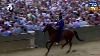 Terza prova  Palio di Siena 2 luglio 2024  SOGNO PALIO [upl. by Biagio]