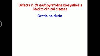 Orotic aciduria [upl. by Krik]