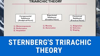 STERNBERGS TRIARCHIC THEORY OF INTELLIGENCE [upl. by Odnam]