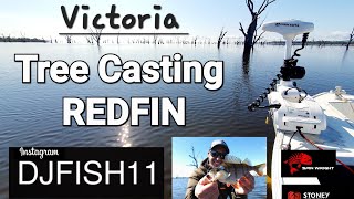 Redfin Fishing Tree Casting Lake Lonsdale Victoria djfish11 djfishredfi [upl. by Nellac]