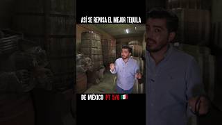 Así se hace el mejor tequila de México ElChiquisQuintero [upl. by Moitoso]