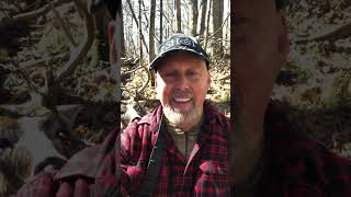 PampY 8 PT Buck Second Chance shortvideo subscribe archery deer fall nature hunting shorts [upl. by Ettesyl94]