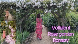 8 June 2024 Mottisfont Rose garden Romsey [upl. by Alphard944]