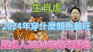 生肖屬相虎！屬虎人在2024年穿什麼顏色最旺？生肖屬虎人2024年幸運色是什麼！本期視頻講述2024生肖虎！運勢 顏色 風水 2024 [upl. by Julietta]