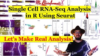 Single Cell RNASeq Analysis in R Using Seurat scRNAseq Analysis  Bioinformatics for beginners [upl. by Amandie450]