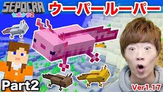 【セポクラ2】Part2  ウーパールーパー探し【マインクラフト  マイクラ】【セイキンゲームズ】 [upl. by Anaujat277]