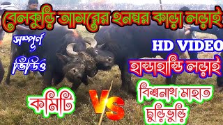 বেলকুড়ি আসরের ২ নম্বর কাড়া লড়াই ২০২৪ Belkuri asorer 2 nombar kara lorai [upl. by Ahseet]