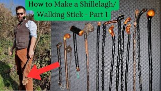 How to Make a ShillelaghWalking Stick Part 1 Finding Cutting and Seasoning [upl. by Mcmath]