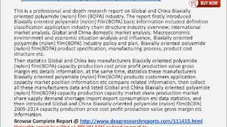 Biaxially Oriented Polyamide Film Industry [upl. by Remmer936]