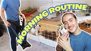 MORNING ROUTINE WITH 12 GUINEA PIGS 🐽 ✨  VLOG [upl. by Bohon]