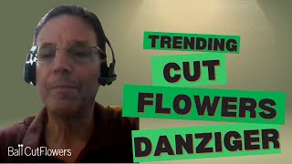 Trending Cut Flowers from Danziger for 20242025 [upl. by Namlaz965]