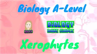 Limiting water loss in plants Xerophytes Alevel [upl. by Oinigih]