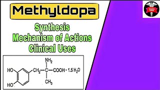 Synthesis of Methyldopa  Mechanism of Actions  Medicinal chemistry 5th sem B Pharm [upl. by Ruperta]