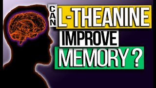 THEANINE MEMORY Benefits  Start IMPROVING your Memory Today [upl. by Ahsikahs646]