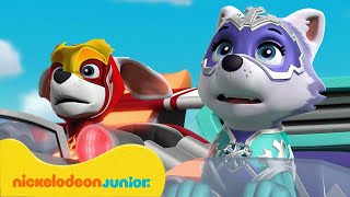 PAW Patrol La Pat Patrouille  Missions de feu et de glace pour les Super chiots  Nickelodeon Jr [upl. by Adlev]