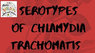 Serotypes of chlamydia trachomatisserovar A to C serovar D to K and L1 to L3infections of serovar [upl. by Tennek681]