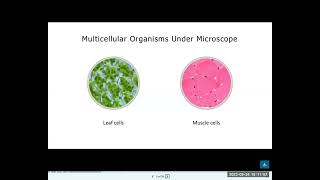 GED  Science Cell Structures amp Functions [upl. by Nayve222]