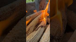 No Charcoal Use a CORN COB grill cooking corn steak charcoal primitive asmr firecooking [upl. by Saxena305]