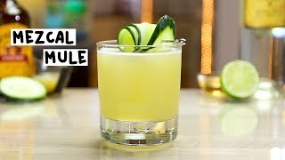 Mezcal Mule  Tipsy Bartender [upl. by Olva]