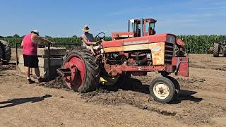 2024 Eastern Indiana District Tractor Puller Association  Dead Weight Pull  Part 1 [upl. by Perloff]