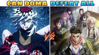 Doma Vs All Hashira In Hindi  Doma Vs All Hashira 🔥 [upl. by Nedra668]