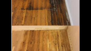 How to remove pet urine stains from wood floors GUARANTEED [upl. by Nairb]