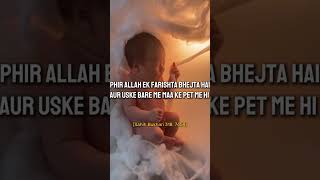 Maa ke pet me bacha 🥺🥺 muslimgirl allahquran youtube shortsfeed namaz bukhari hadees quran [upl. by Killoran]