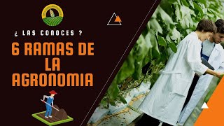 6 ramas de la Agronomía ¿ En cual te gustaría especializarte [upl. by Pik272]