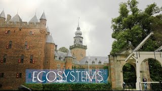 Ecosystems by Prof Dr Annemieke Roobeek [upl. by Eecyaj834]