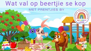 Wat val op beertjie se kop  Prentjies by  Afrikaanse Stories oor Oulike Diertjies [upl. by Leboff694]