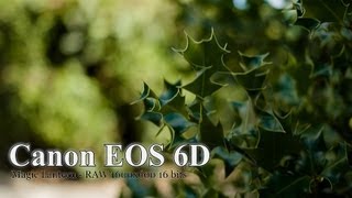 Canon EOS 6D with Magic Lantern amp 40mm STM 28 in RAW [upl. by Novyat172]