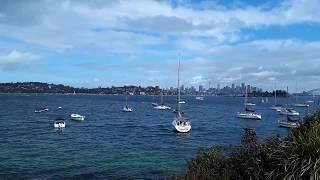 Sydney Harbour Hermitage Foreshore Walk [upl. by Ginsberg]