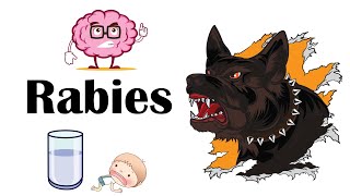 Rabies  Signs amp Symptoms What Are The Signs amp Symptoms Of Rabies [upl. by Nomyaw]