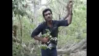 Thanga Meengal Anandha yazhai video song HD [upl. by Lezirg227]