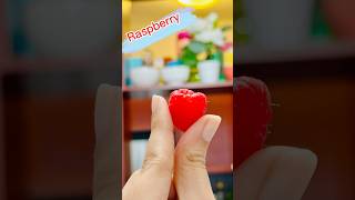 ❤️ Raspberry ❤️ raspberry berries fyp ytshorts trending viralvideo canadatelugudelights [upl. by Atikram]