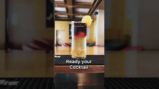 Special cocktail 😱 gin with red wine cocktail shorts redbull gin redwine bartender trending [upl. by Eaton]