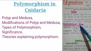 Polymorphism in Cnidaria with theories [upl. by Alvord]