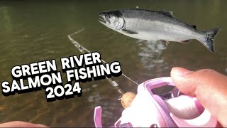 Green River Salmon Fishing 2024 [upl. by Hephzibah342]