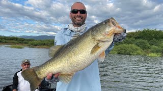 GIANT BASS All Day  Lake Baccarac [upl. by Ogden]