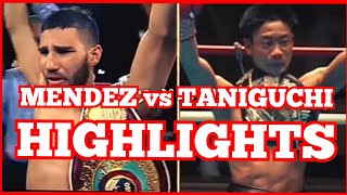 WILFREDO MENDEZ VS MASATAKA TANIGUCHI HIGHLIGHTS  BOXING [upl. by Koeppel997]