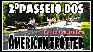 🐴 2° PASSEIO DOS AMERICAN TROTTER ✅ [upl. by Ayimat]