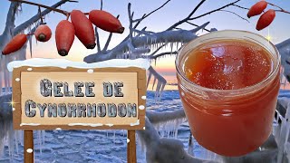 ❄️️Comment faire sa gelée de Cynorrhodon  ☃️🥄😋 [upl. by Angie]